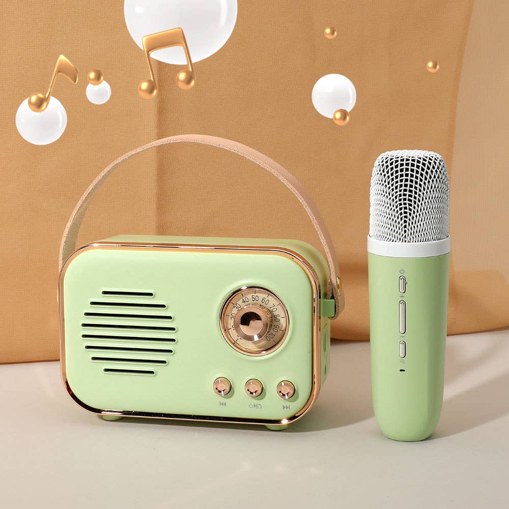Mini Retro Karaoke Machine Bluetooth Speaker with Microphone